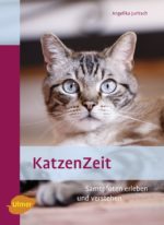 KatzenZeit