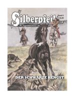 Silberpfeil 05: Der schwarze Hengst